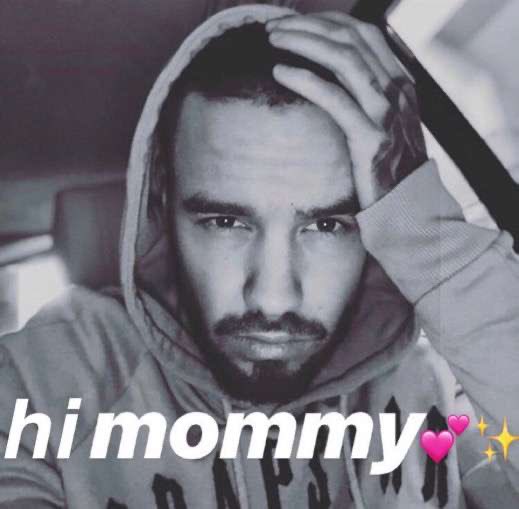my favorite liam payne memes: a long thread