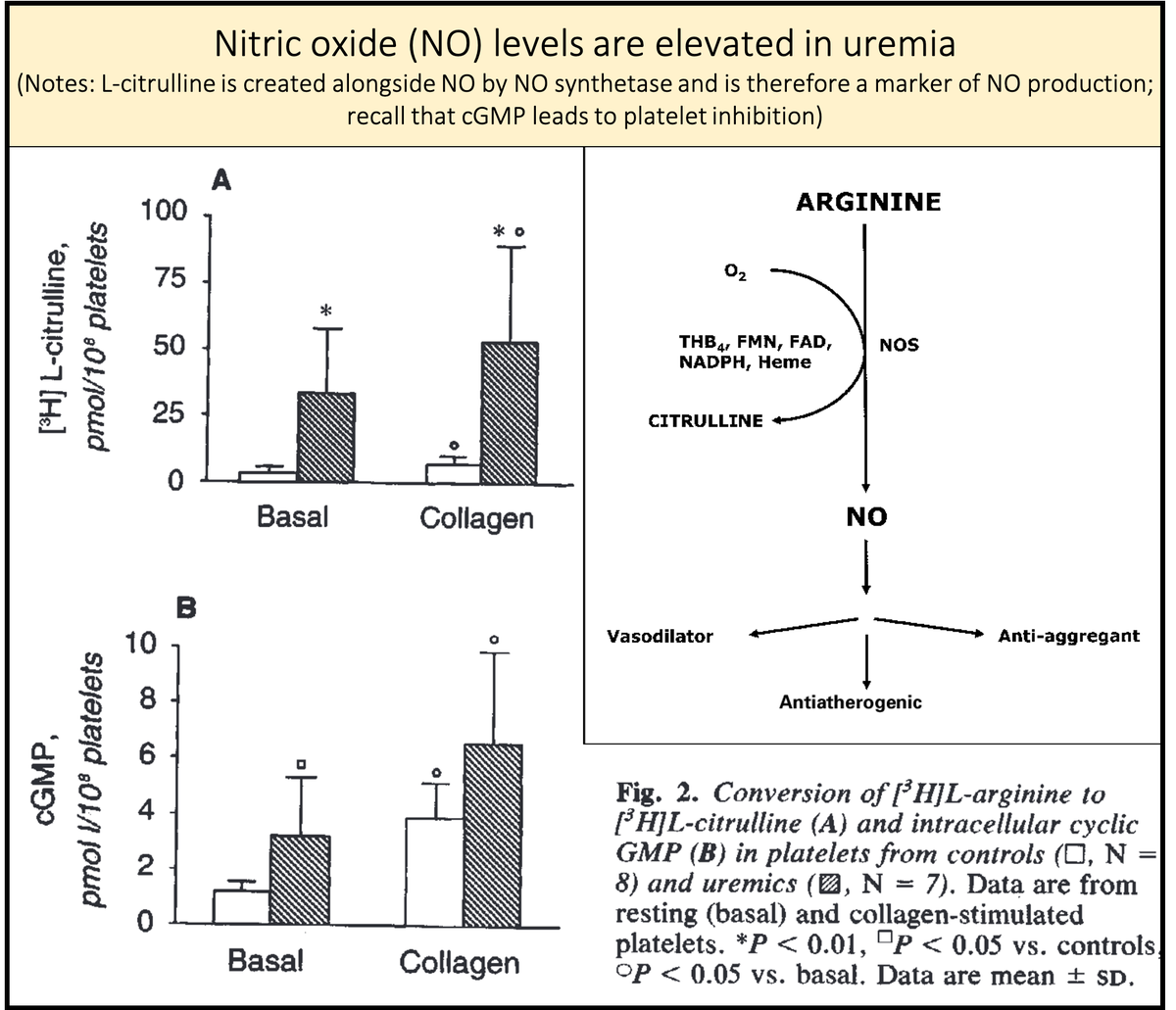 13/And how do these effects of nitric oxide relate to uremia and increased levels of GSA?First, nitric oxide synthesis is enhanced in uremia. This may be the end-product leading to many of the features of uremic platelets. https://pubmed.ncbi.nlm.nih.gov/8377388/ 