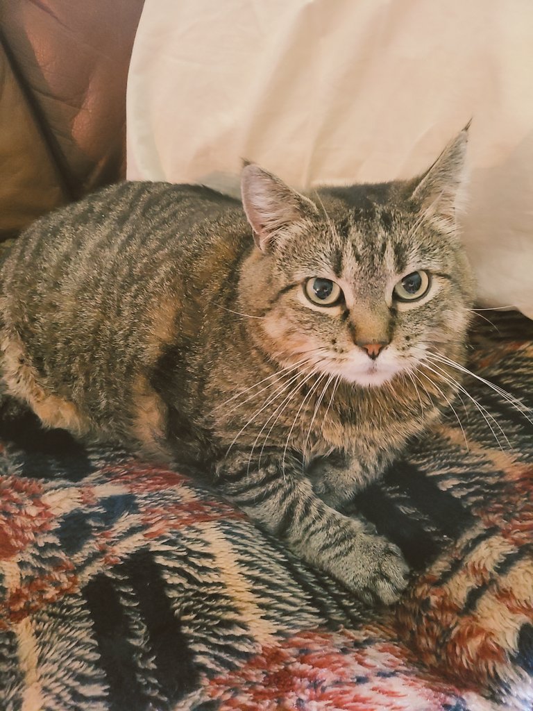 Business Over Beer tweet media