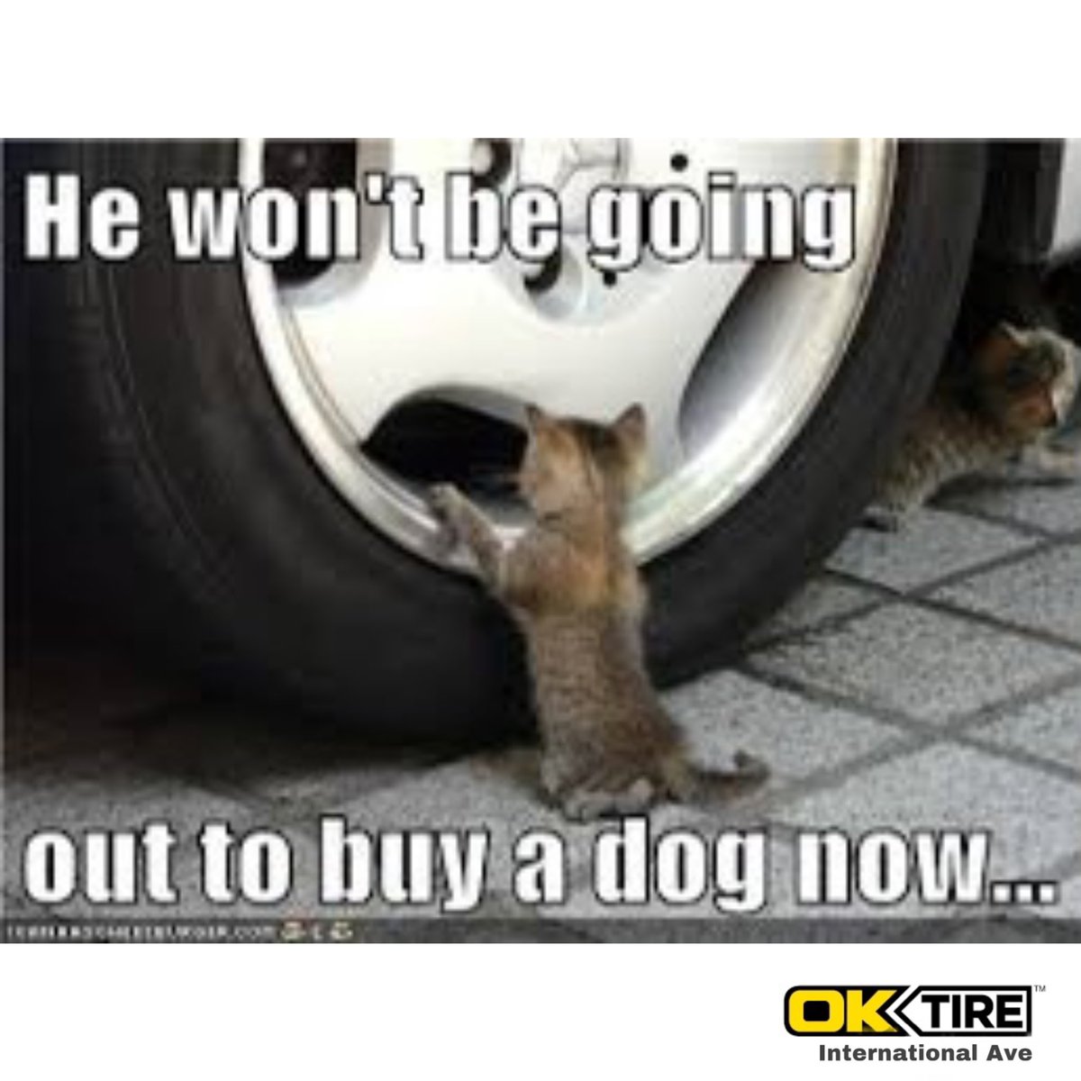 OK Tire International Ave (OKTireYYC) Twitter