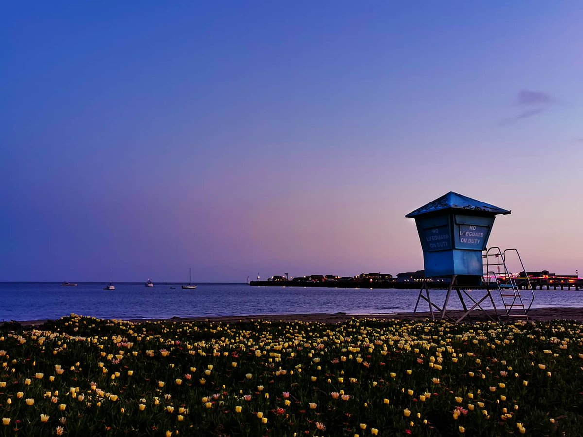 Nazrie (@nakashimaotsu) on Twitter photo Serene Evening..
.
.
#huaweip30pro #huaweip30prophotography #HUAWEINextImageIE #huaweinextimage #twilight #landscapephotography <a href="/huaweimobileie/">HuaweiMobileIe</a> <a href="/huaweimobile/">Huawei Mobile</a> #seesb #visitsantabarbara #california #usa #traveltheworld #santabarbaracalifornia
instagram.com/p/CCrcyjjH2pM/… Serene Evening..
.
.
#huaweip30pro #huaweip30prophotography #HUAWEINextImageIE #huaweinextimage #twilight #landscapephotography <a href="/huaweimobileie/">HuaweiMobileIe</a> <a href="/huaweimobile/">Huawei Mobile</a> #seesb #visitsantabarbara #california #usa #traveltheworld #santabarbaracalifornia
instagram.com/p/CCrcyjjH2pM/…