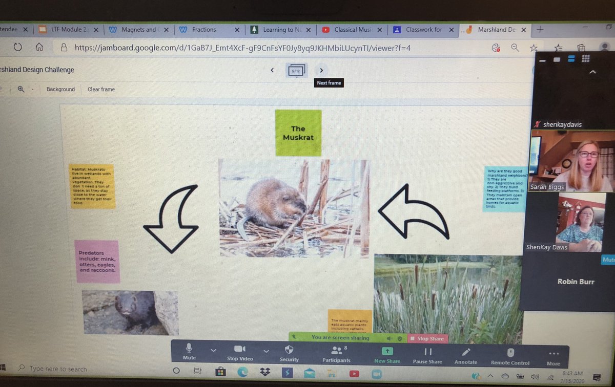 Annette Williams (@awilliamsadvky) on Twitter photo Wrapping up Day 2 of <a href="/AdvanceKentucky/">AdvanceKentucky</a> 's LTF Elementary Training! #kyltf2020 <a href="/NMSI/">National Math and Science Initiative</a> <a href="/KyDeptofEd/">KY Dept of Education</a> Wrapping up Day 2 of <a href="/AdvanceKentucky/">AdvanceKentucky</a> 's LTF Elementary Training! #kyltf2020 <a href="/NMSI/">National Math and Science Initiative</a> <a href="/KyDeptofEd/">KY Dept of Education</a>