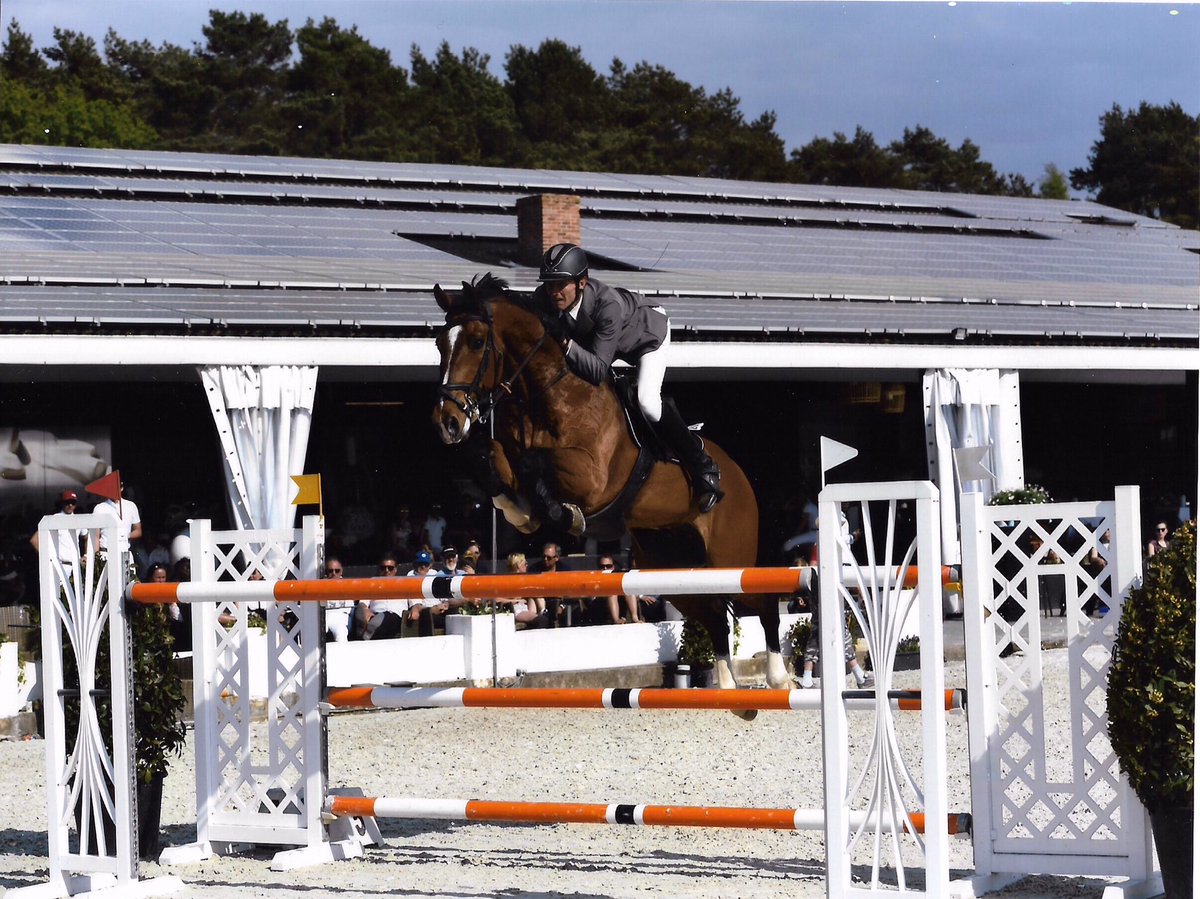paulcrago's tweet photo. ,lots of shows planned ,Aug/Sept.also planning3 shows in France Sept/Oct￼￼, a trip to Holland/Spain in Nov . now able to take on more horses to compete for owners I also offer coaching packages with the opportunity to travel to these shows call 07775710643 message for details. https://t.co/V1ojzM6waU