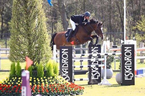 paulcrago's tweet photo. ,lots of shows planned ,Aug/Sept.also planning3 shows in France Sept/Oct￼￼, a trip to Holland/Spain in Nov . now able to take on more horses to compete for owners I also offer coaching packages with the opportunity to travel to these shows call 07775710643 message for details. https://t.co/V1ojzM6waU