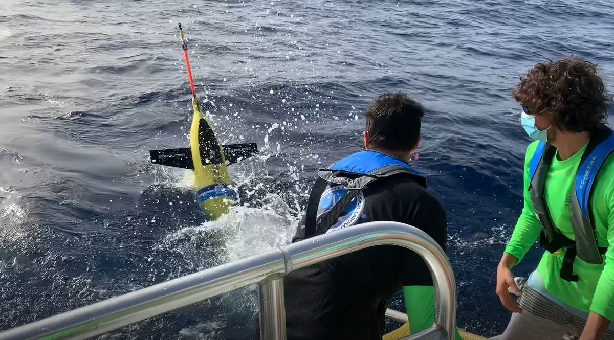NOAAResearch's tweet image. 30 hurricane gliders are heading out to sea this week off the coasts of Puerto Rico, the Gulf of Mexico and the eastern U.S. 

Scientists will use the data these gliders collect to improve the accuracy of #hurricane forecast models. research.noaa.gov/article/ArtMID…