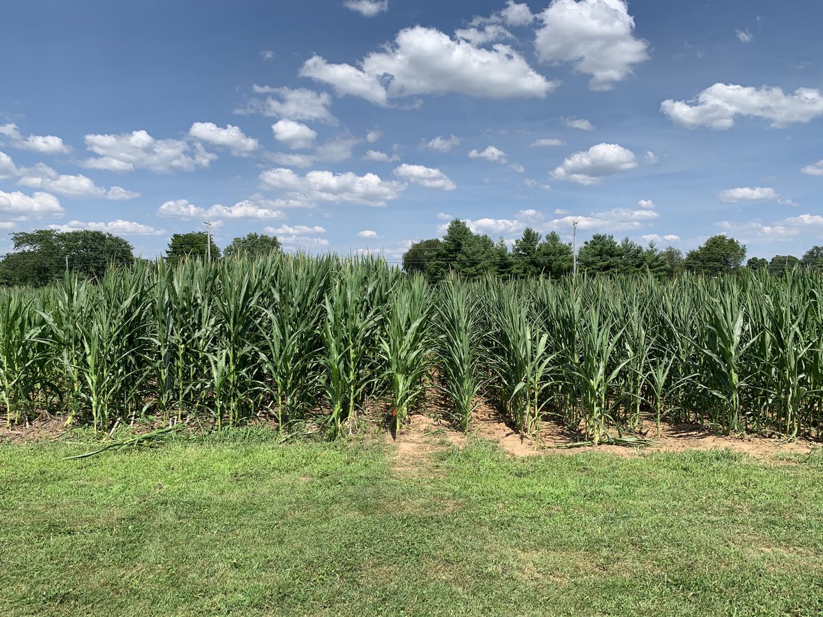 Chad Lee 🧢 tweet media