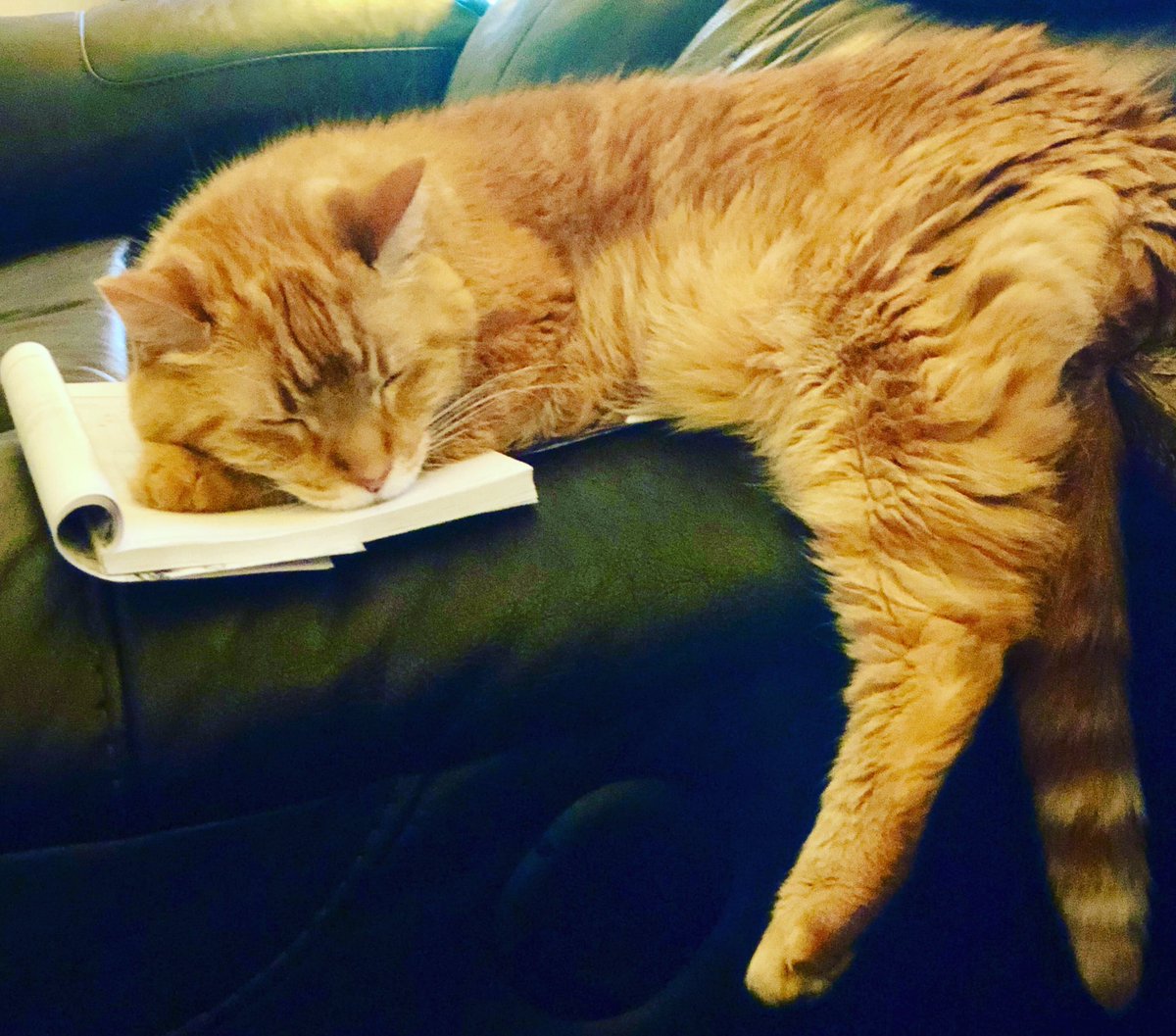 Dancing Pottery l Fiona Becker tweet media