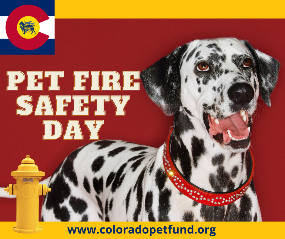 Today is Pet Fire Safety Day. Take a look at this tip filled article from our friends at the ASPCA and make sure your fire safety plan includes your pets. bit.ly/3ewgDgY

#petfiresafetyday #colovespets
