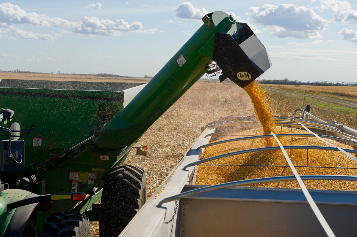 🚨🚨🚨Yesterday, <a href="/USDAForeignAg/">Foreign Ag Service</a> reported a contract for a 1.8 million MT sale of 🇺🇸🌽, valued at about $390 million. This would be the largest-EVER single sale of 🇺🇸🌽 to China and the fourth-largest in the history of our country!