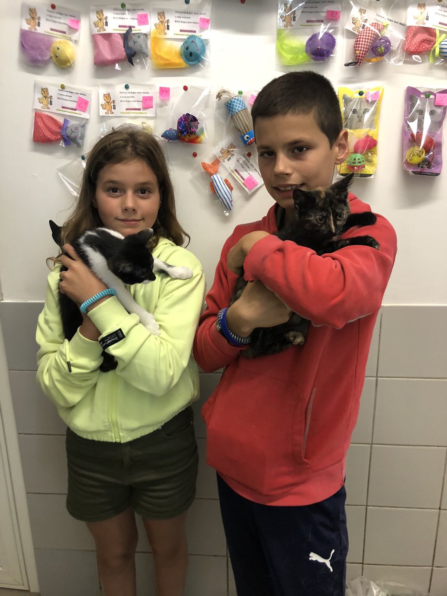 RefugedeBuigny's tweet photo. #Daliah + #Zébulon
🐱ADOPTÉS🐱
Aujourd’hui un frère et une sœur ne seront pas séparés. En effet, Dalhia et Zébulon (qui s’appellera désormais Félix) ont trouvé une famille géniale 😍. Ces fidèles adoptants avaient le souhait d’adopter deux chatons et si possible une fratrie + https://t.co/R7twOsG3I2