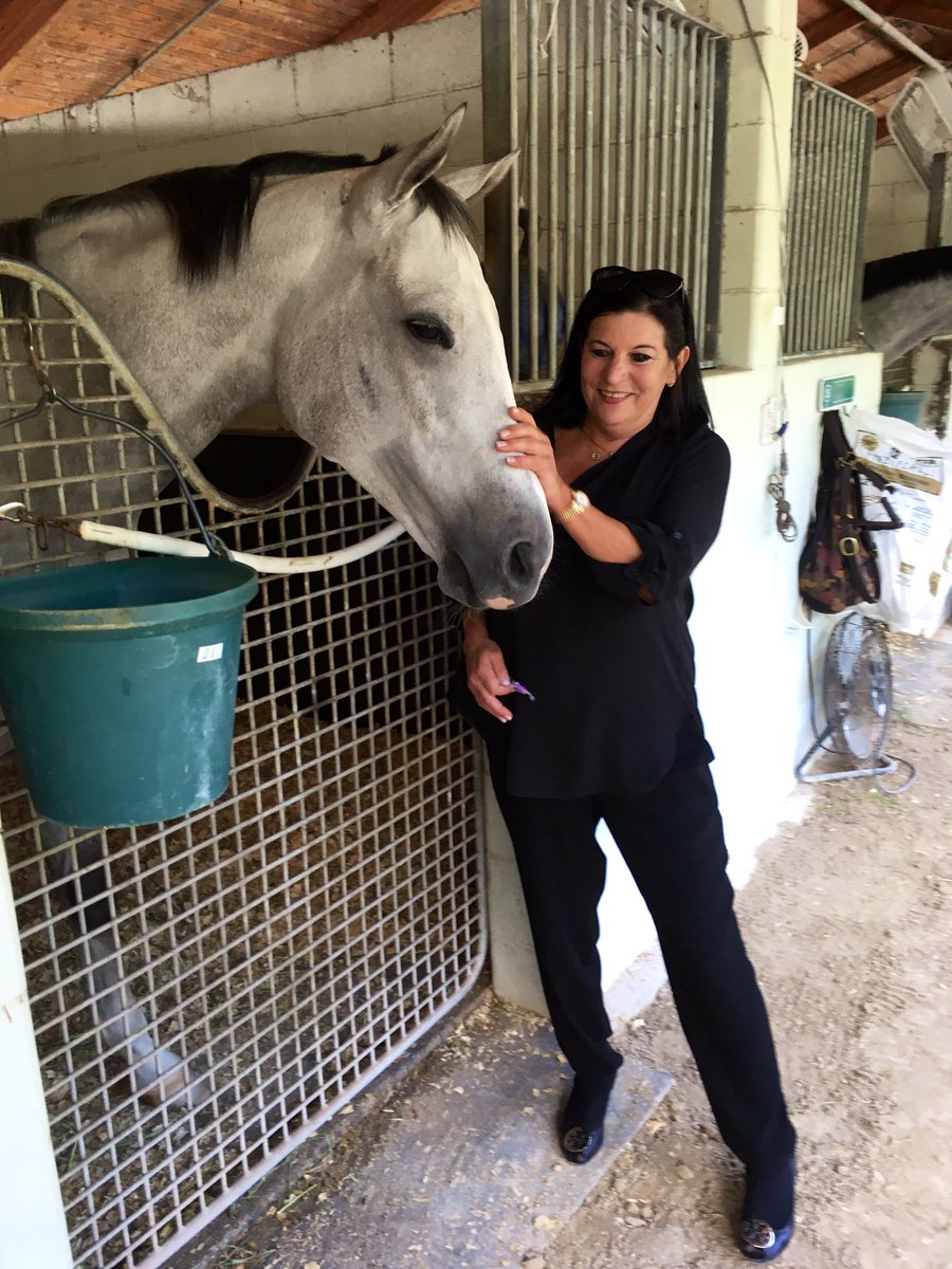 racingforhome's tweet photo. Happy #ILoveHorsesDay❤️ Who’s Your Drama loves being an #OTTB and @Kimbchr loves him! He is sweet silly and loves to get dirty! Just starting retraining after a long layoff and months of stall rest Such a good boy #AddictedtoRehab #GrayAllDay #DramaLlama @Psissy514Platt https://t.co/Np8EeAOBv2