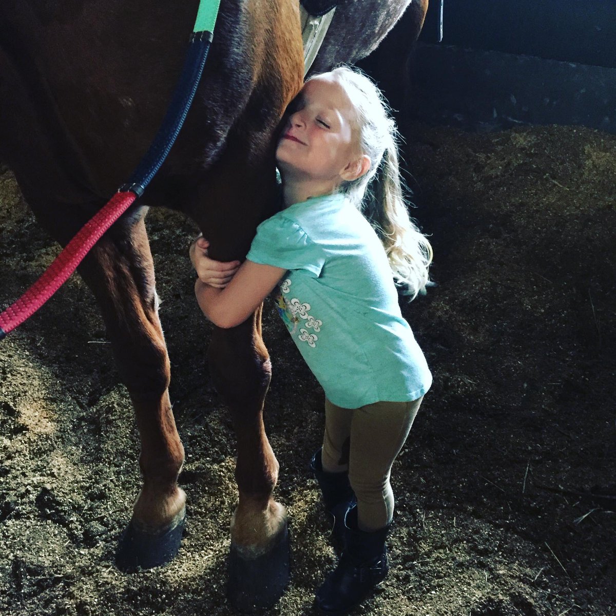 WardStables's tweet photo. Happy #nationalilovehorsesday https://t.co/pWZiQchULw