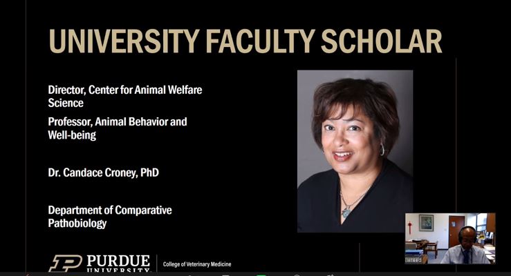 CroneyGroup's tweet photo. Congratulations to #TwitterlessDrCandaceCroney for her recognition as a 'University Faculty Scholar' from the rest of us at the Croney Research Group! (And from the #Croneydogs too!) #PurdueLife #MySmallStep https://t.co/RJShIGYVG4