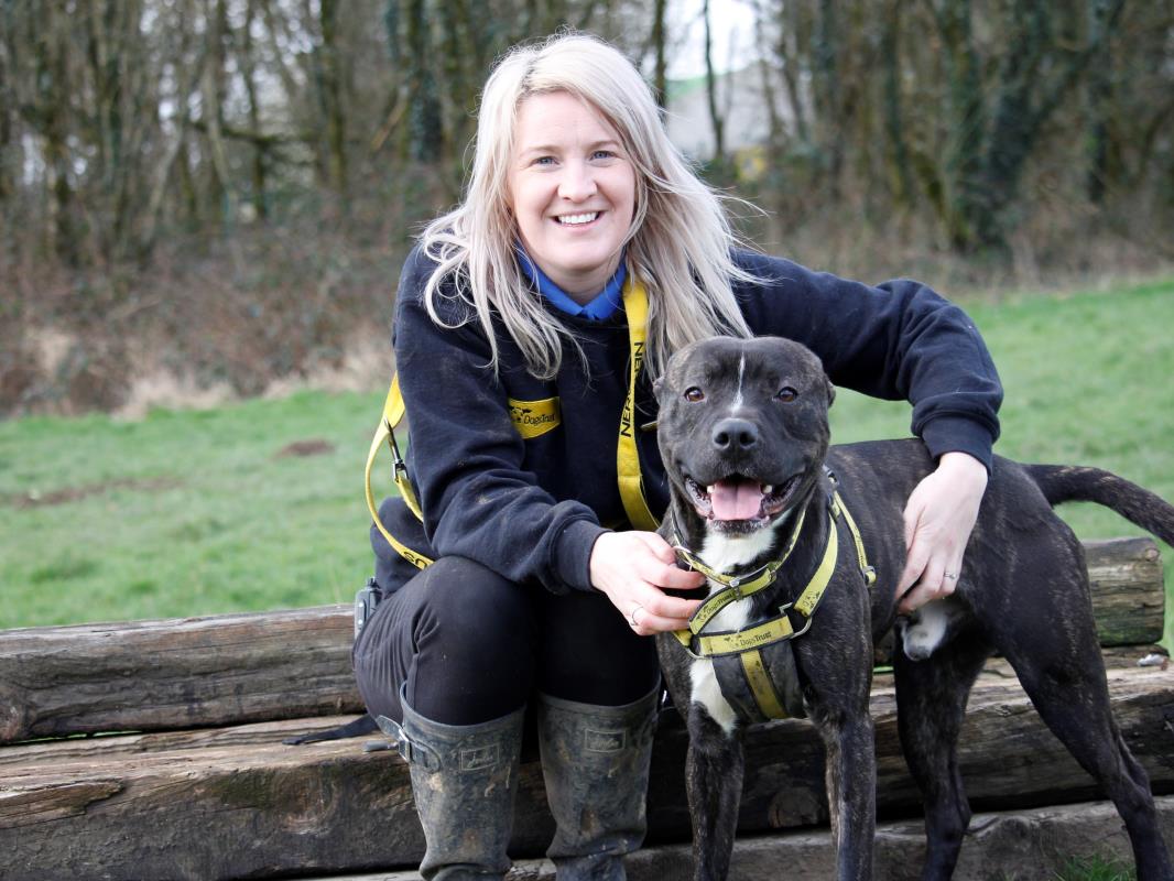 Animal Adoptions UK 🐕‍🦺🐈🐎❤️ tweet media