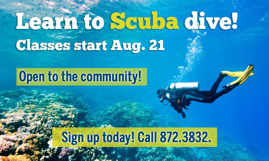 GCSC1957's tweet photo. Have you been wanting to learn how to scuba dive? GCSC is offering NAUI Open Water, Advanced Open Water & Rescue Diver certification courses! Open to the community! Email Carl at ckleinschmidt@gulfcoast.edu for additional information! #GCSCStrong #GulfCoastStateCollege https://t.co/7LfFXsG1WK