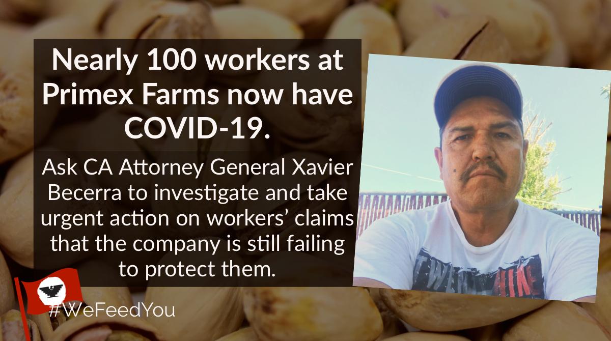 UFWupdates's tweet photo. Nearly 100 workers at Primex Farms - and 63 family members - have gotten COVID19. Ask CA @AGBecerra to investigate and take urgent action on workers' concerns that the company is still failing to protect them. 
Act now @ https://t.co/MA4dn4fMjx
#WeFeedYou https://t.co/5EXF8j9d32