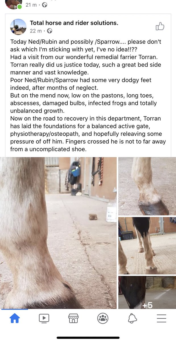 SO nice to be an apprentice and be getting the recognition like a qualified farrier, hard work does pay off!!