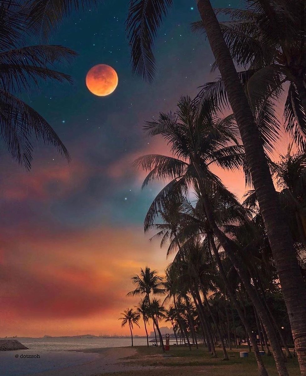 Lotte (@ter_lotte) on Twitter photo Good evening/night💕
Stay healty and safe😘 Good evening/night💕
Stay healty and safe😘