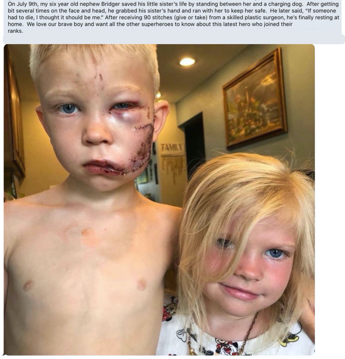 baileyjer's tweet photo. He has the spirit of a warrior!
… https://t.co/q7tDtq70E9