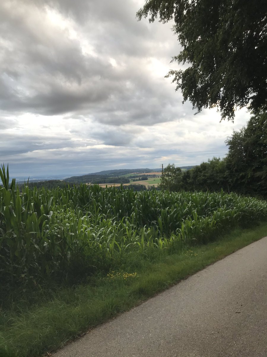 ccixistenz's tweet photo. @redder66 stein am rhein von weitem ... geniess die nacht ;)
vom seerücken ;) https://t.co/vjfLSj1SeX