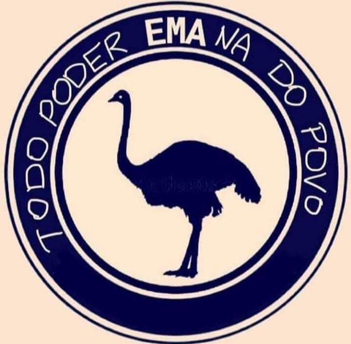 edmilson1305's tweet image. Ema “comunista” bica Bolsonaro, que gemeu; a ave passa bem graças a Deus!! #TodoPoderEmanaDoPovo #ForaBol卐onaroGenocida