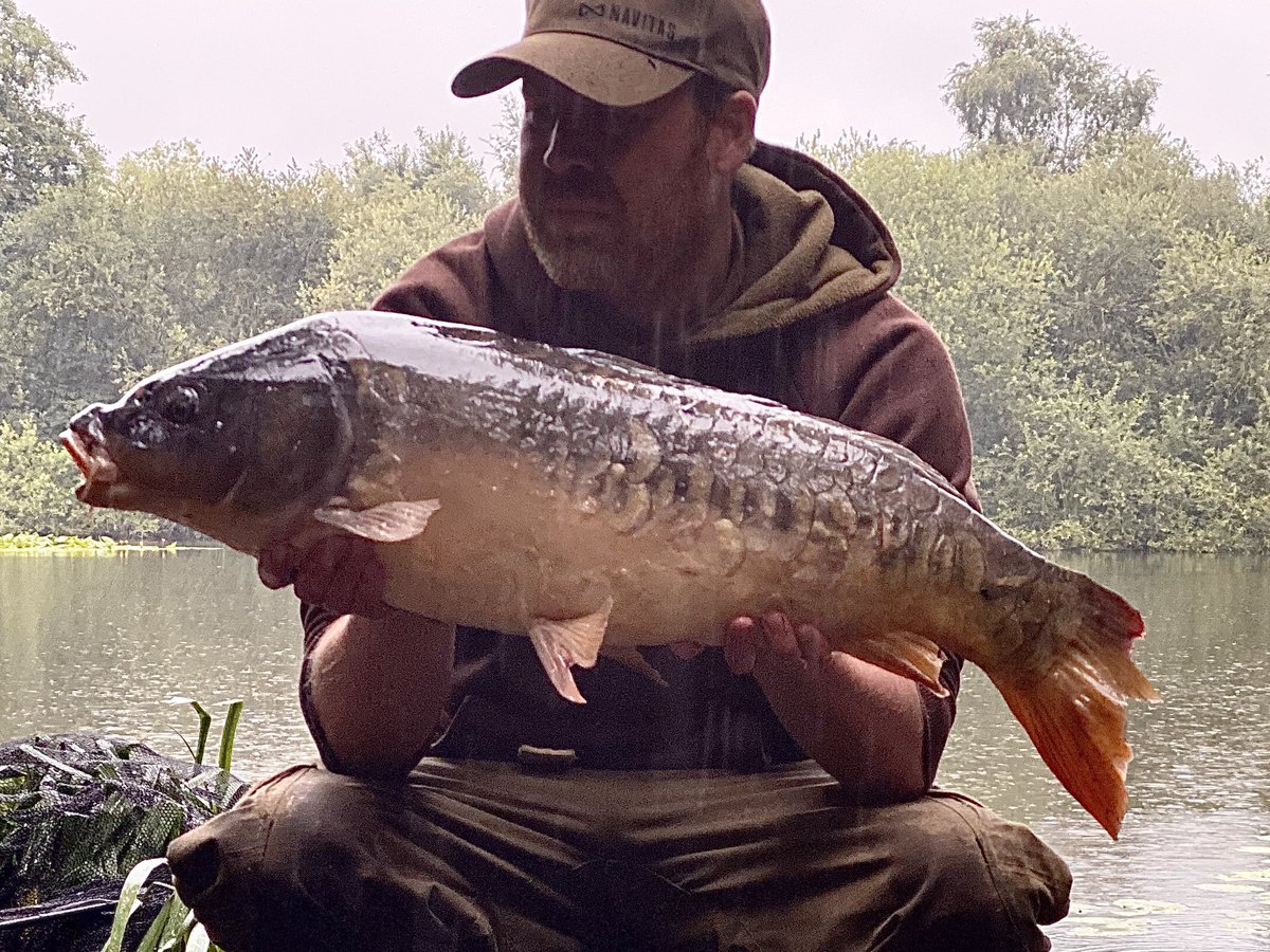 carp_focus2's tweet photo. After wading through most of the bream in the lake, I finally slipped the net under another decent fish from the new syndicate. https://t.co/OyMJri0cUC