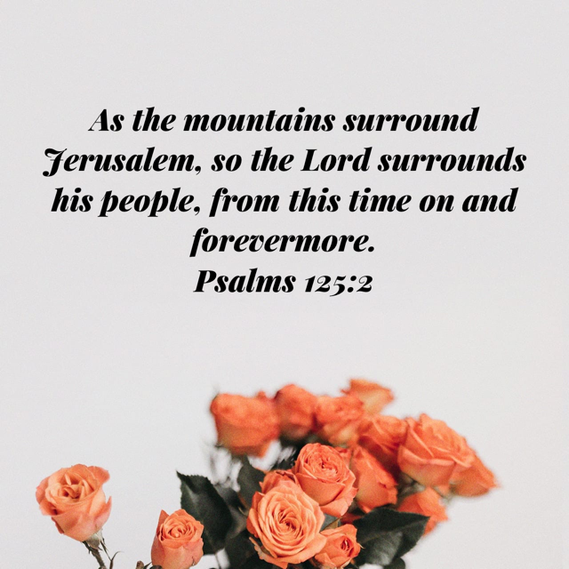 mtviewpres's tweet image. See you online tonight at 6pm as we continue our exploration of Psalm 125. Tune in here: youtube.com/mtviewpres