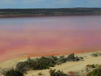 How pink is a pink lake? bit.ly/2BNkJ70 #travel #pinklake #westernaustralia