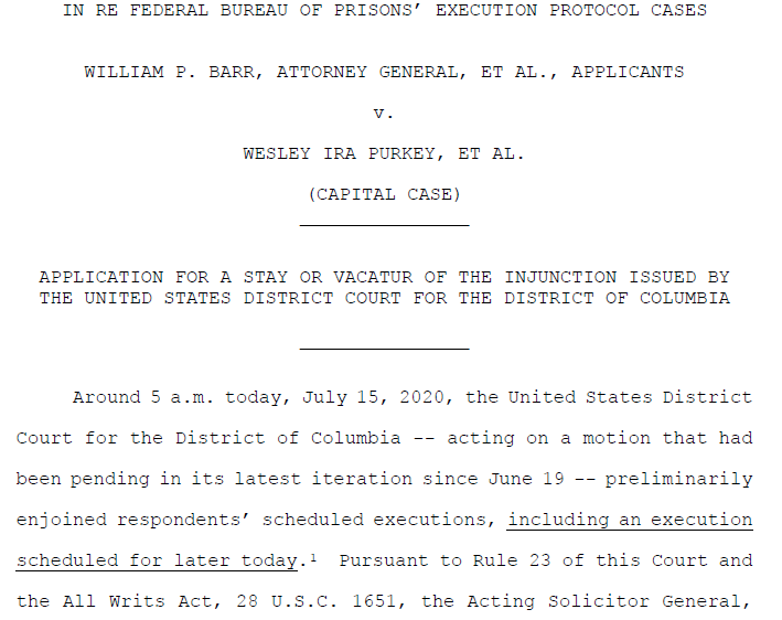 And now we have DOJ's appeal at SCOTUS of the other injunction today from the DC trial court, related to the execution protocol (this is the one that relates to Purkey and the other impending executions as well). http://aboutblaw.com/R12 