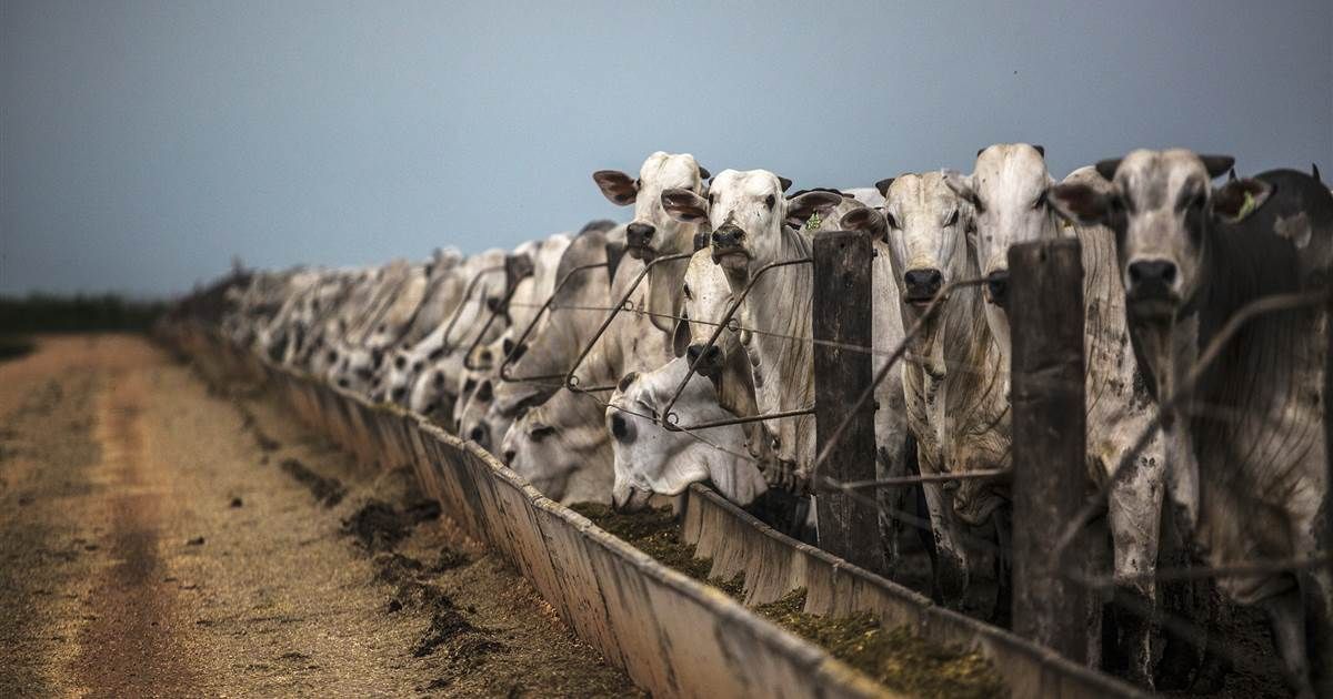 In other news, Climate change targets are massivley under threat right now. Methane emissions are on the rise with scientists predicting that the worst is still yet to come. #ClimateCrisis buff.ly/2OuBwhY