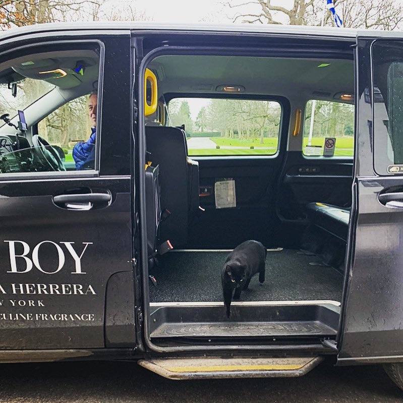 We Are Open! And our first guest Raven The Cat has arrived. Looking forward to seeing all our wonderful guests and staff. #prestonfieldhouse #prestonfield #reopening #raventhecat #blackcat #firstguest #edinburgh #edinburghlife #visitscotland #fivestar