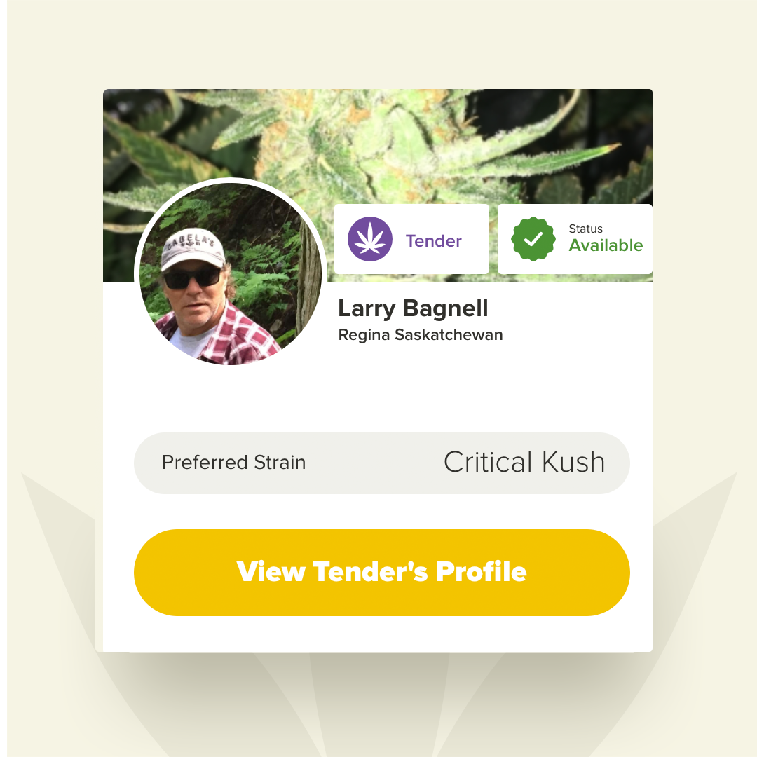 Weetender's tweet photo. Meet Larry: After a back injury he started to grow his own medical cannabis and is now looking to grow for others. He cultivates strains that help with pain relief, sleep and appetite. His preferred strain is critical kush which is known for its calming and relaxing effects. https://t.co/SMRH9XlxY7