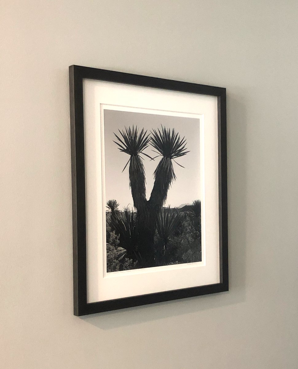 mkg_art's tweet photo. We loved installing these new black and white photographs for a corporate client!
#mkgart #mkgartmanagement #photography #blackandwhite #texaslandscape #houstonartists #buffalobayou #westtexas #geoffwinningham #jackridley #corporateart https://t.co/vKM5QwbKVk