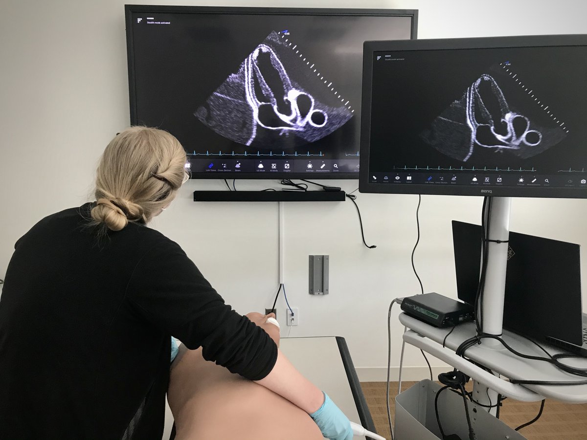 pravinp8's tweet photo. Socially-distanced #TTE fellow learning on the @CAEHealthcare #Vimedix @kkfrench29 @CarabelliEvan @templemedschool @ASE360 #COVID19.. #Tamponade, #Myxomas and #Thrombi, oh my! #NotInKansas https://t.co/0BEu0DUJSe