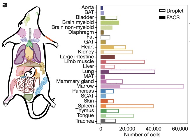Tony Wyss-Coray tweet media