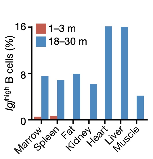 Tony Wyss-Coray tweet media