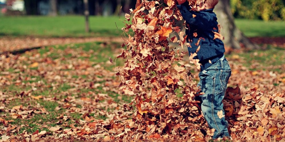 Isn`t it awesome?

#boy #playing #leaves 
#outdoorskids #kidsoutdoor #outdoorwithkids #outdoors #hiking #camping