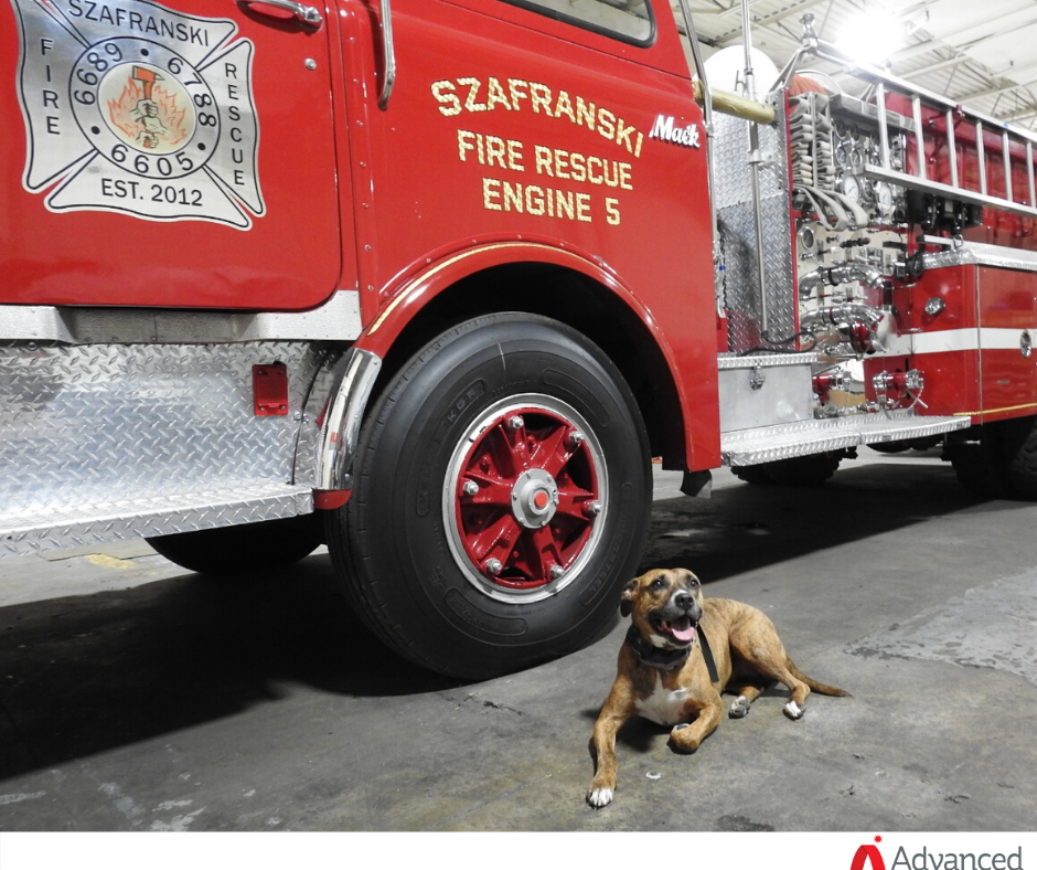 Today is #NationalPetFireSafetyDay! Ensure the safety of furry friends across North America by using an Advanced system in your next project.