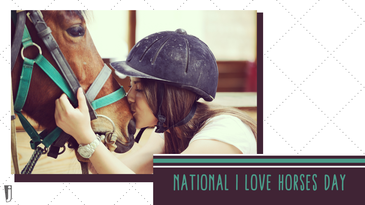 JeffersEquine's tweet photo. “Horses lend us the wings we lack.” – Pam Brown

#NationalILoveHorsesDay https://t.co/bFzCxcu8bn