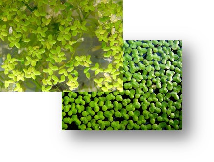 Space Lab Tech, LLC tweet media