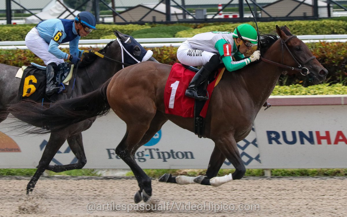 Videohipico Sonar Springs A Big Surprise In The 9th Race Gulfstreampark Summermeet Sonar Sorprende En La 9 ª Carrera Gulfstreampark Jockey Hiberrios Trainer Juan Alvarado Arindelfarm T Co Ufiqhjihw1