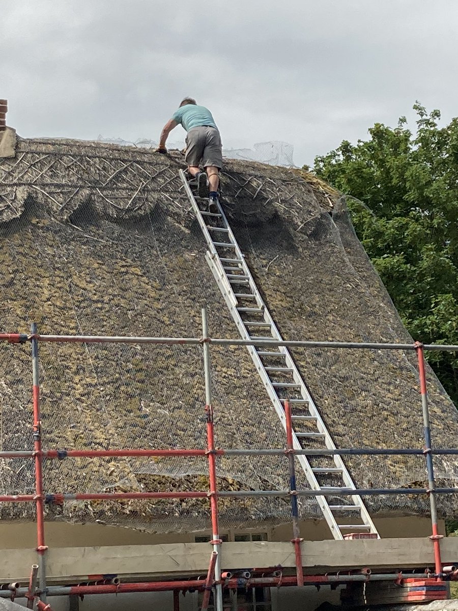 Ashwell museum tweet media