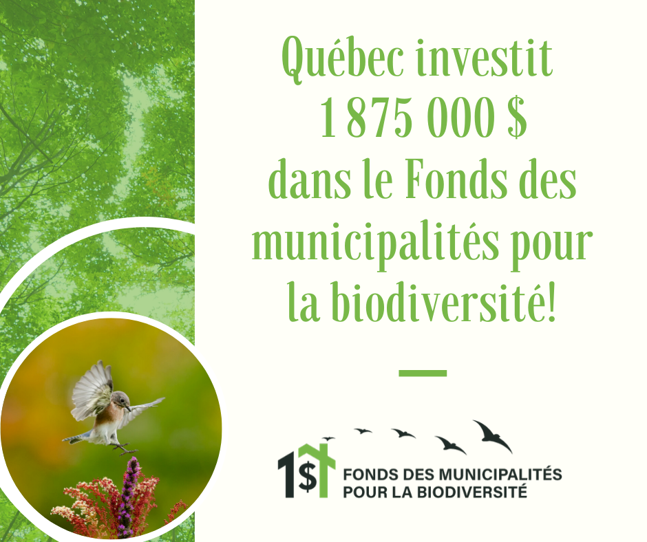 snapqc's tweet photo. BRAVO! Le @GouvQc investit dans le #FondsMB qui soutient les #municipalités dans leur volonté de protéger les milieux naturels et d'offrir des espaces de connexion #nature à leurs citoyens!
#polqc #solutionnature #biodiversité
👉https://t.co/sFQ1XP1l2q
👉https://t.co/vzTt61UFDh https://t.co/P79sAwmR1Y