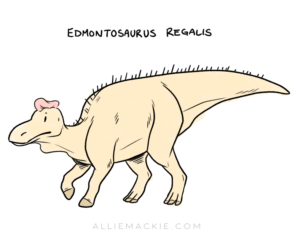 alliemackie's tweet image. Hadrosaurs, eh? For Dinovember last year I drew an Edmontosaurus with speculative hooves, as well as my very favourite dino of all time, Parasaurolophus. 💚

#RTMPArtChallenge
