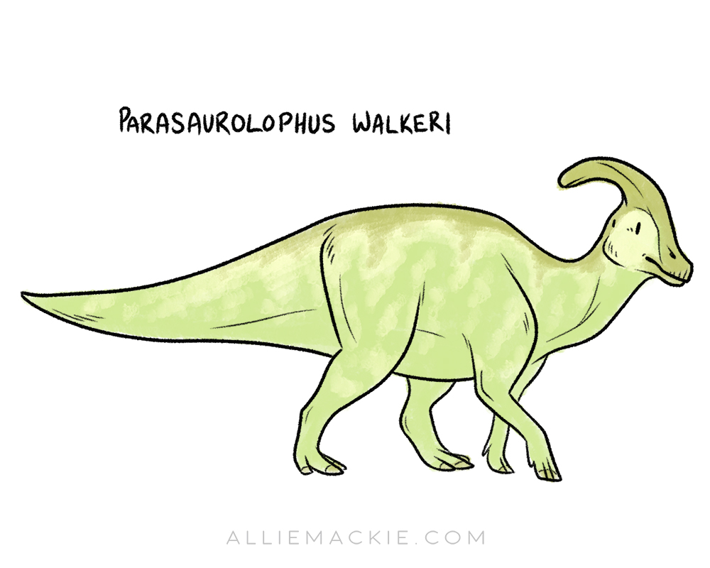 alliemackie's tweet image. Hadrosaurs, eh? For Dinovember last year I drew an Edmontosaurus with speculative hooves, as well as my very favourite dino of all time, Parasaurolophus. 💚

#RTMPArtChallenge