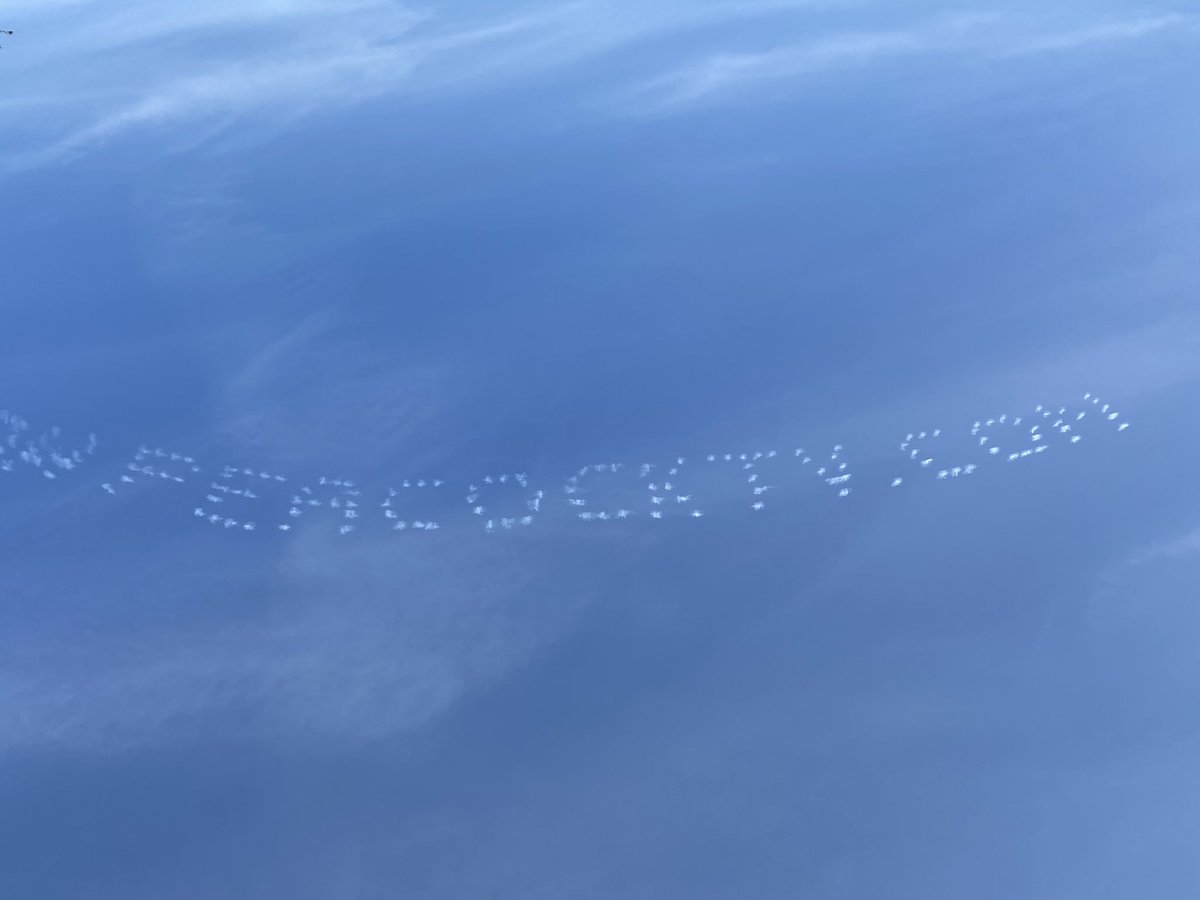 Patrick Schlafer tweet media