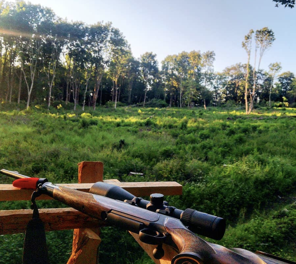 Sauer_USA's tweet photo. Beautiful day for hunting.
📷: @morgen_pirsch
#sauerrifles #sauerusa #sauer404 #huntingpic #huntinglife #huntingrile #sauer #s404 #gonehunting #guns #firearms https://t.co/TnLwDfE45i