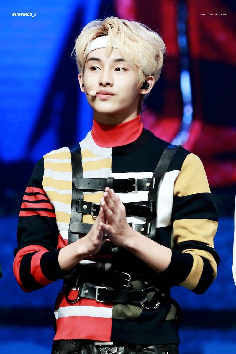 Hourly Winwin☁️ tweet media