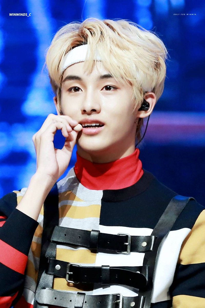 Hourly Winwin☁️ tweet media