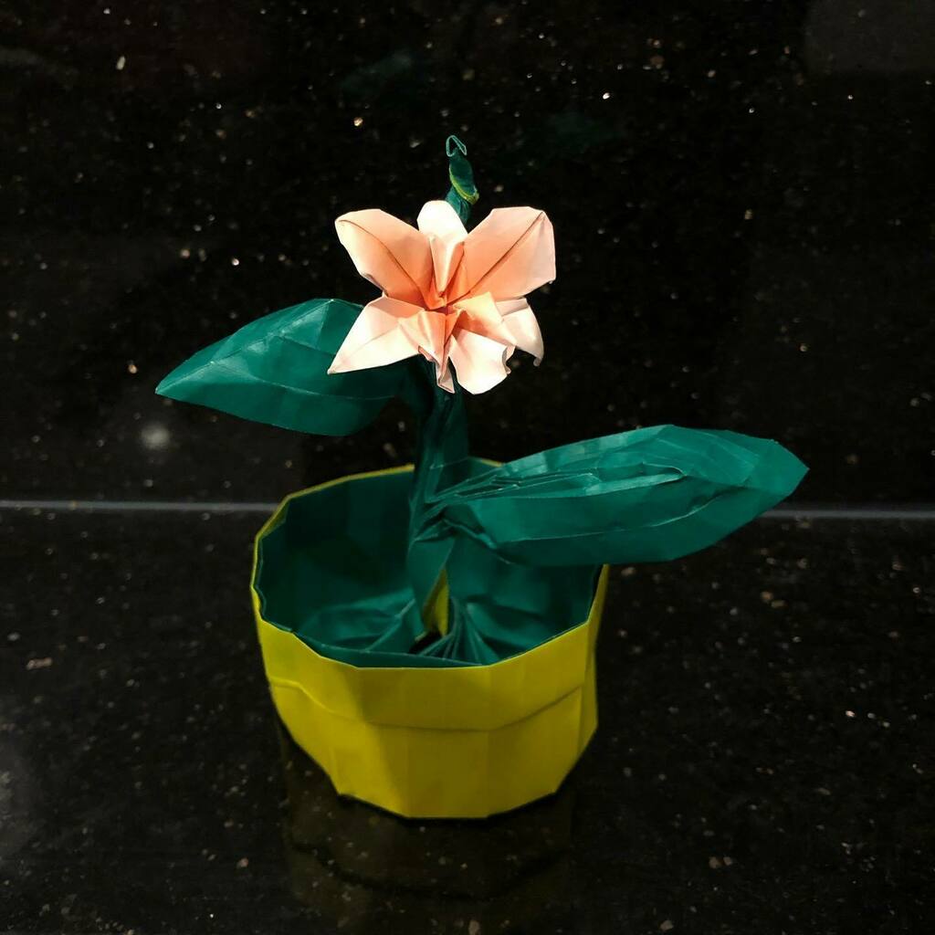 origamitraces's tweet photo. Riccardo Foschi’s, @oricami flowerpot and a little orchid for Susie by Michael Lafosse
#origamitraces #origami #flowerpot #oricami #orchidforsusie #michaellafosse #kami #harmonypaper https://t.co/nHWY7oxaLo https://t.co/zUtq40hZRk
